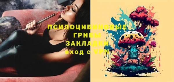 герыч Алексин
