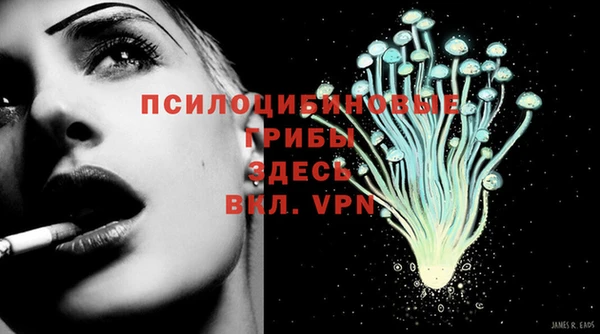 герыч Алексин